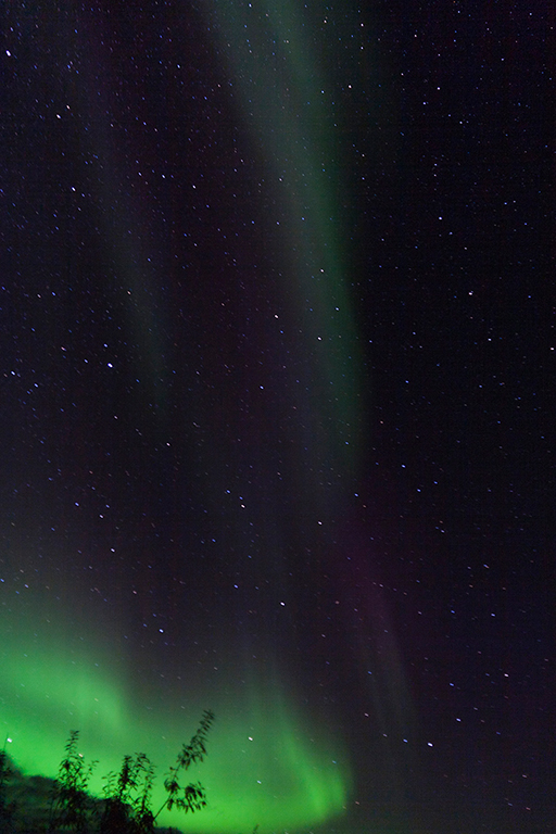 IMG_293.jpg - Aurora Borealis